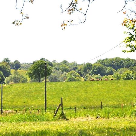 Gites Du Castellare Le Chalard エクステリア 写真