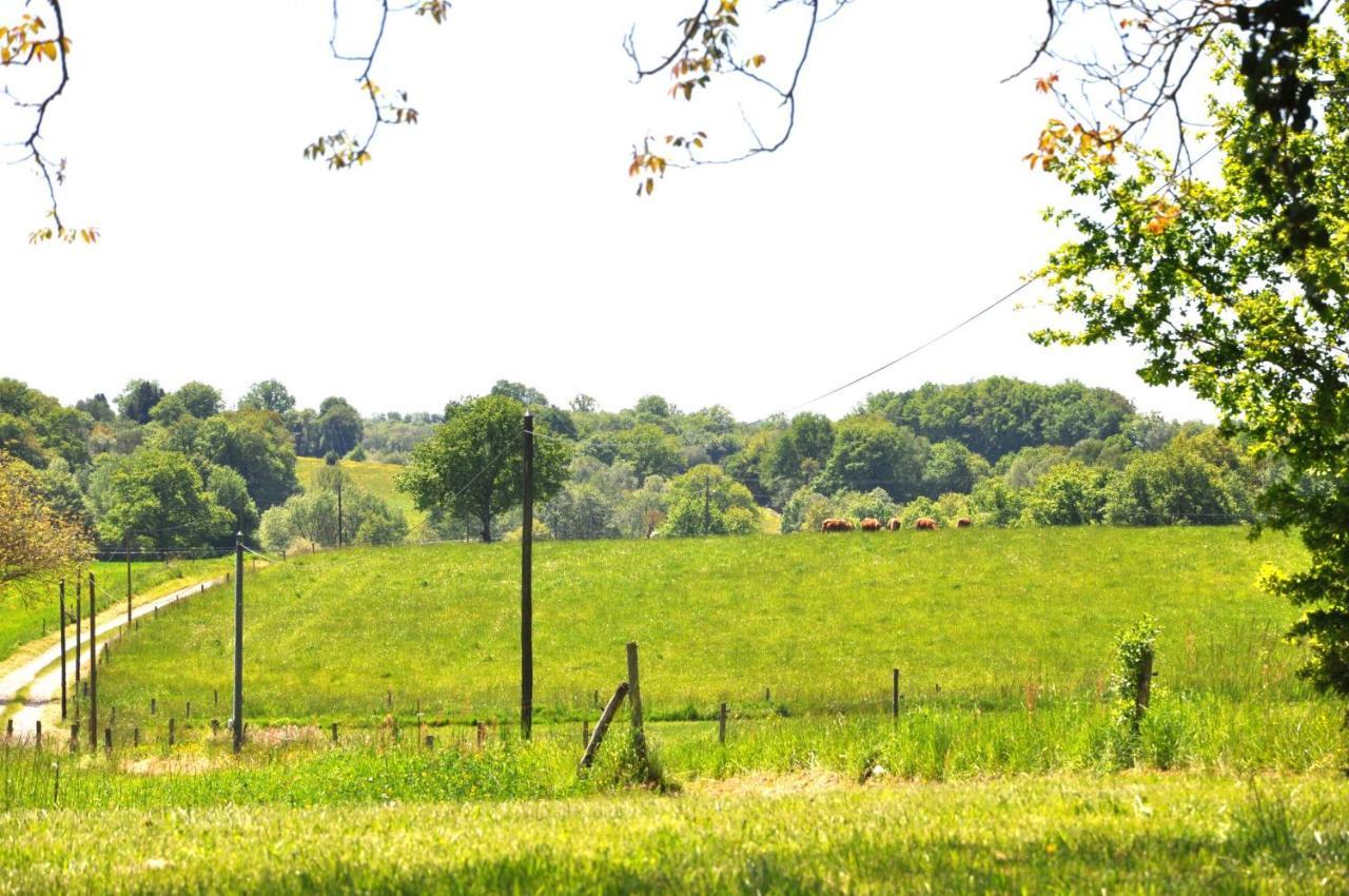 Gites Du Castellare Le Chalard エクステリア 写真
