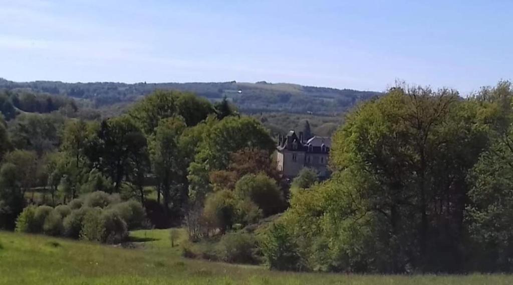 Gites Du Castellare Le Chalard エクステリア 写真