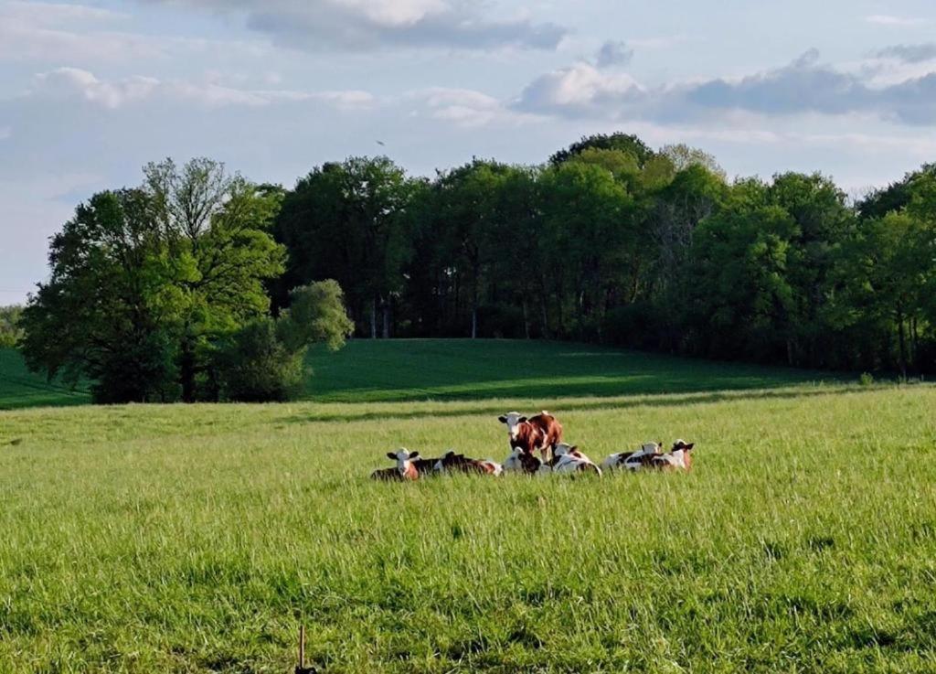 Gites Du Castellare Le Chalard エクステリア 写真